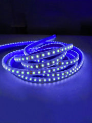 12V Striscia LED 2835 120L IP65 10W/m 1300lm/m 5mt Alta Luminosità Larghezza 8mm