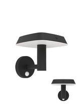 Parete LED Solare Giardino con Sensore DREOLI