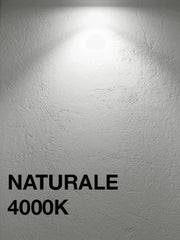 FARO LED ESTERNO IP65 50W  NATURALE 4000K LUMINIA SKU:51256