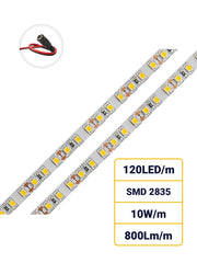 12V Striscia LED 2835 120L 10W/m 800lm/m 5mt Larghezza 8mm