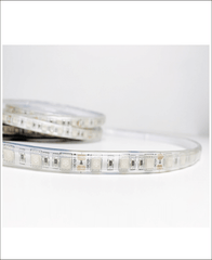 12V STRISCIA LED 5050 10W/M 750lm/m 5MT