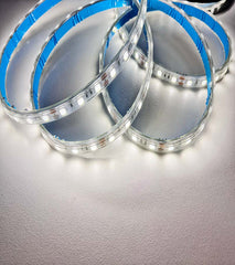 12V STRISCIA LED 5050 10W/M 750lm/m 5MT