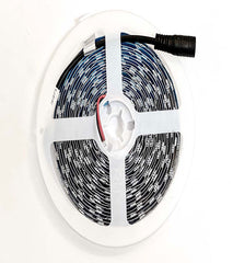 12V STRISCIA LED 5050 10W/M 750lm/m 5MT