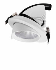 DOWNLIGHT ROTONDO ORIENTABILE 40W