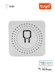 Mini Interruttore Intelligente Wifi a 2 Vie FS-02HW