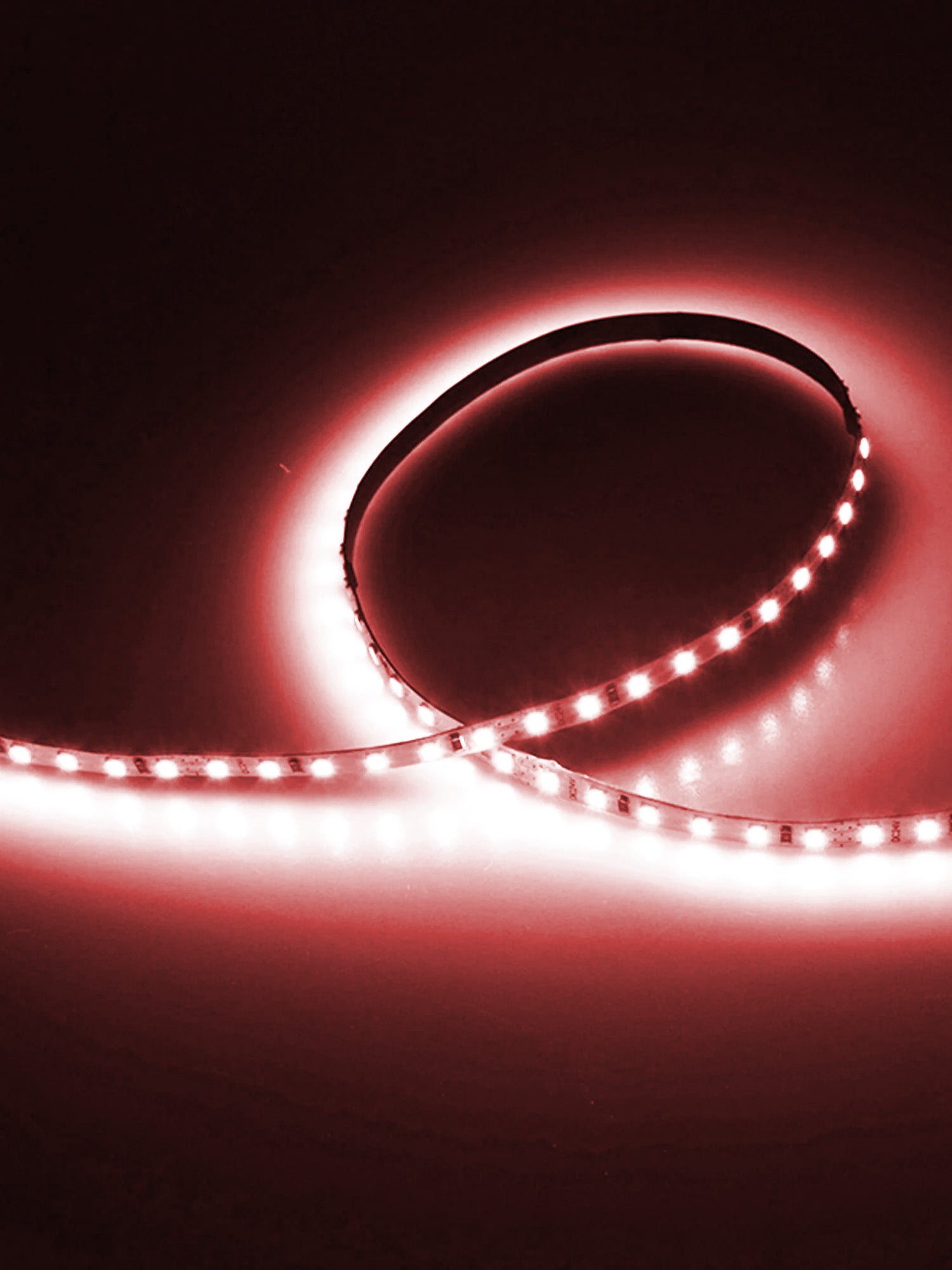 12V Striscia LED 2835 120L 10W/m 1300lm/m  Alta Luminosità 5mt Larghezza 8mm