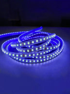 12V Striscia LED 2835 120L IP65 10W/m 1300lm/m 5mt Alta Luminosità Larghezza 8mm