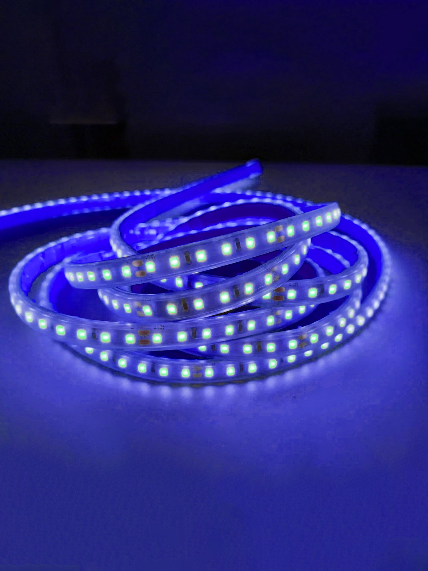 12V Striscia LED 2835 120L IP65 10W/m 1300lm/m 5mt Alta Luminosità Larghezza 8mm