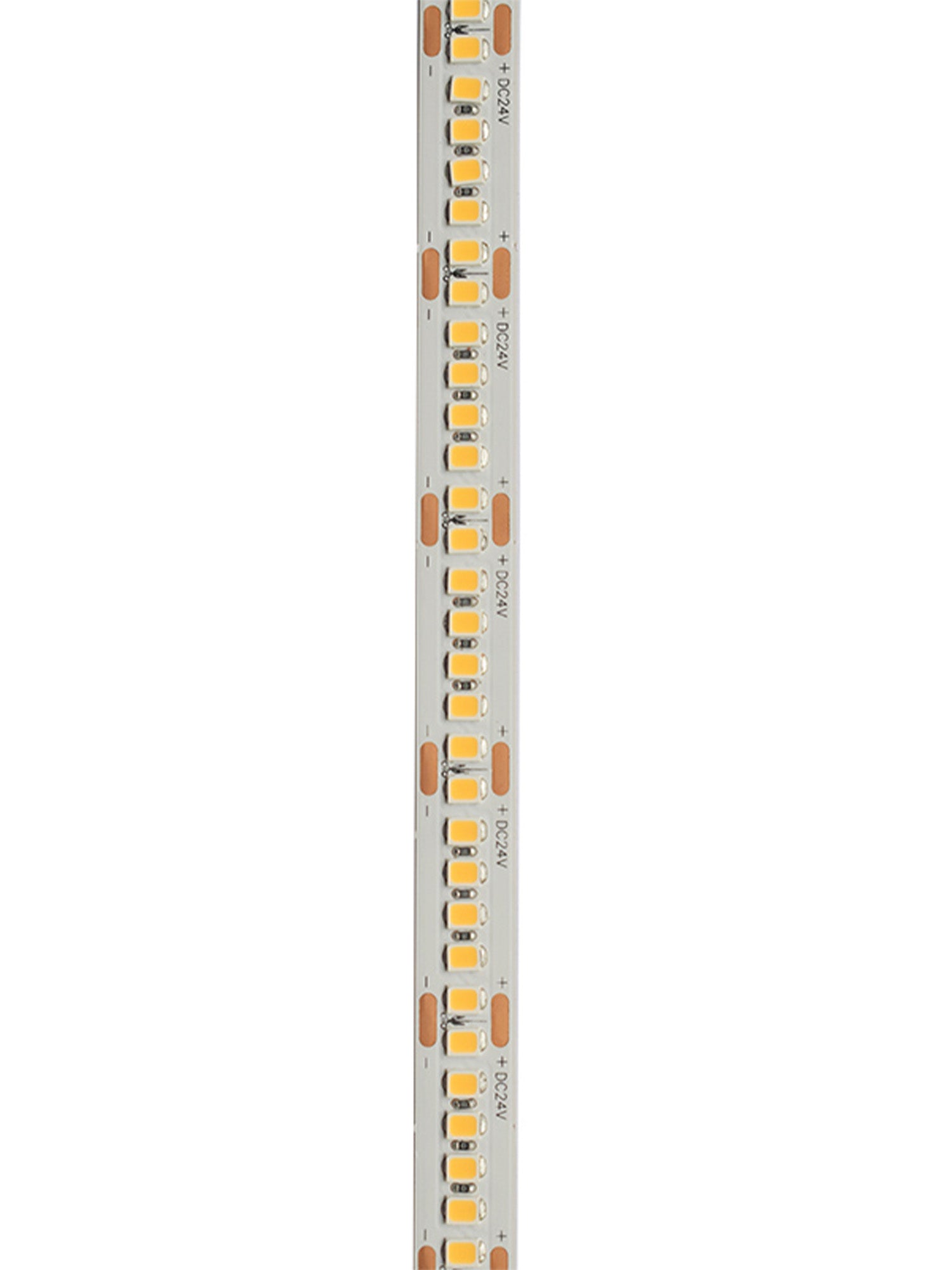 24V Striscia LED 2835 240L 16W/m 1600lm/w Larghezza 10mm 5mt