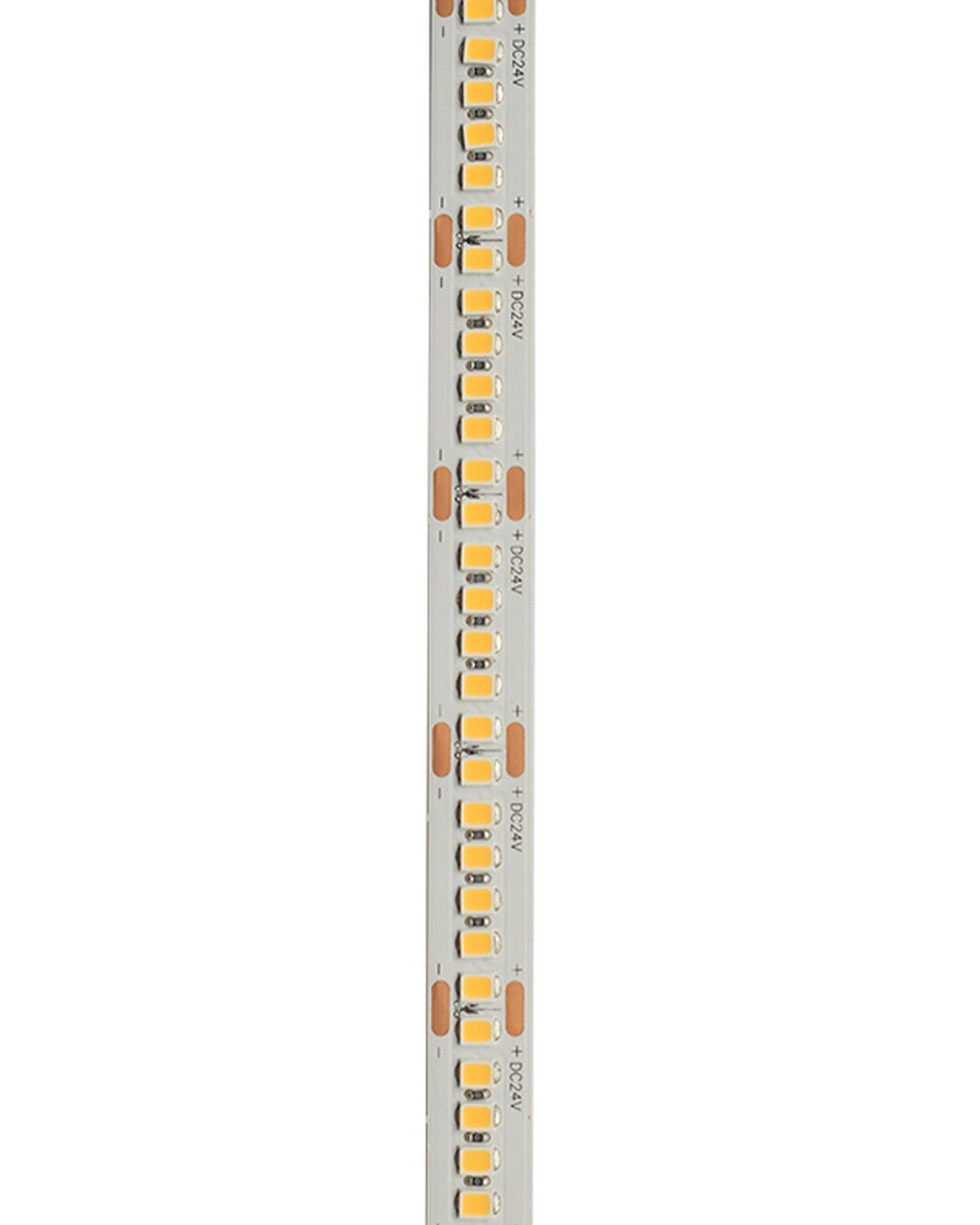 24V Striscia LED 2835 240L 16W/m 130lm/w Larghezza 10mm 5mt