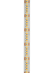 24V Striscia LED 2835 240L 16W/m 1600lm/w Larghezza 10mm 5mt