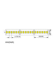 24V Striscia LED 2835 240L 16W/m 1600lm/w Larghezza 10mm 5mt