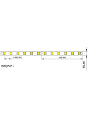 12V Striscia LED 2835 120L IP65 10W/m 1300lm/m 5mt Alta Luminosità Larghezza 8mm