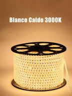 Striscia LED 220V SMD5050 60LED/m IP67 su Misura Luce Bianca/Blu