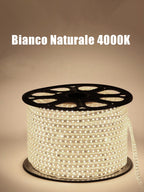 Striscia LED 220V SMD5050 60LED/m IP67 su Misura Luce Bianca/Blu