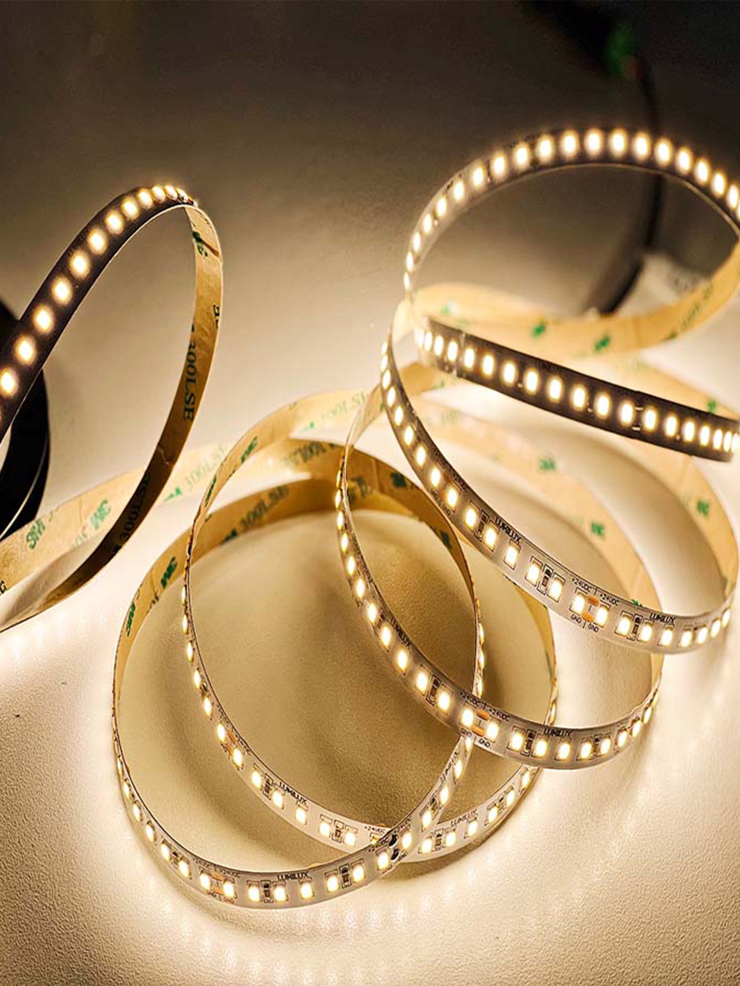 24V LUMILUX STRISCIA LED 2835 20W 5MT Immagine secondaria del prodotto