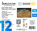 12V Striscia LED 2835 120L IP65 10W/m 1300lm/m 5mt Alta Luminosità Larghezza 8mm