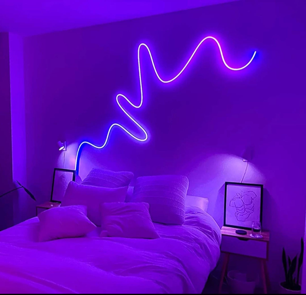 Striscia LED Neon Flessibile DIY DC 24V  5M