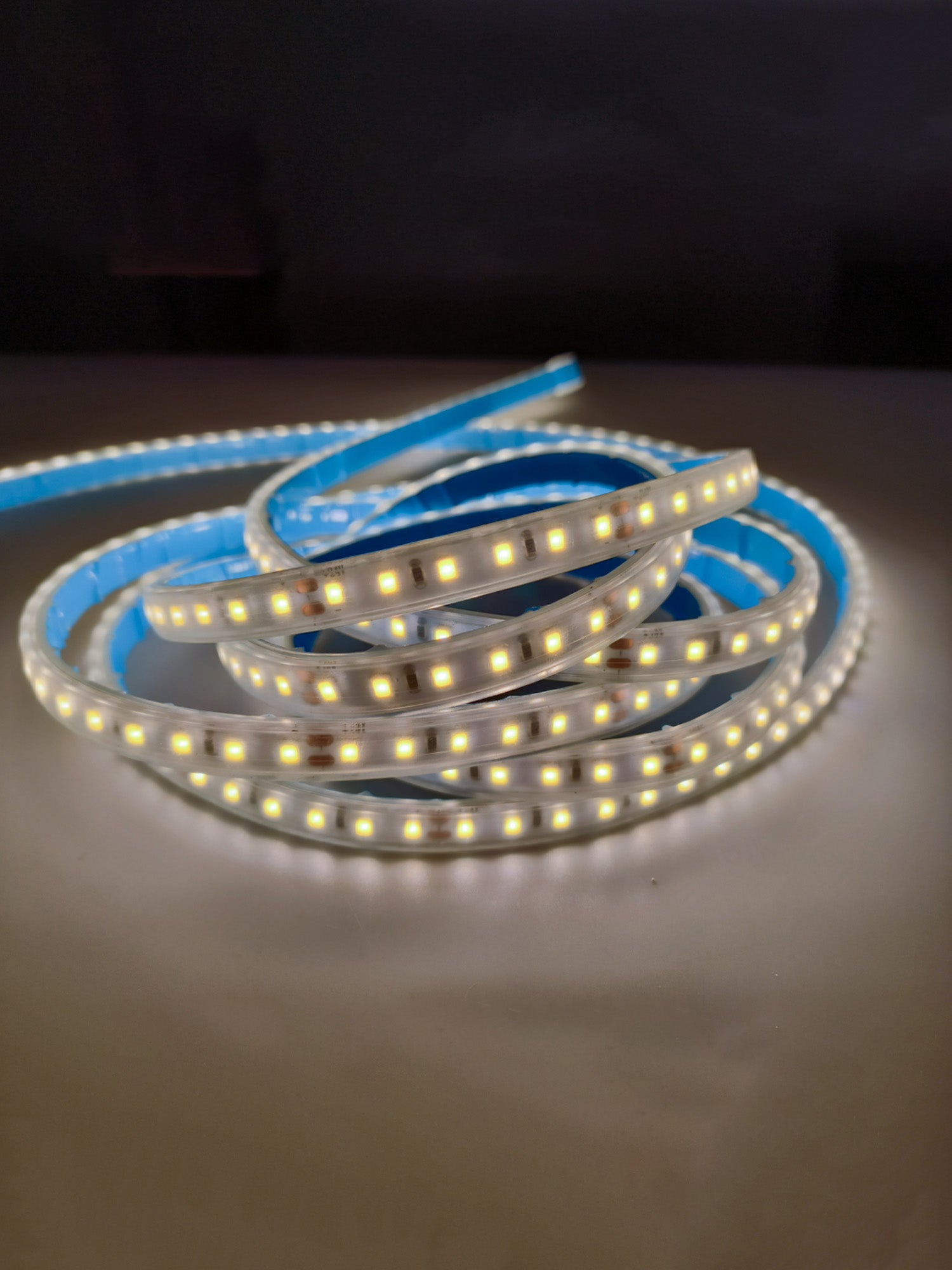 12V Striscia LED 2835 120L IP65 10W/m 1300lm/m 5mt Alta Luminosità Larghezza 8mm