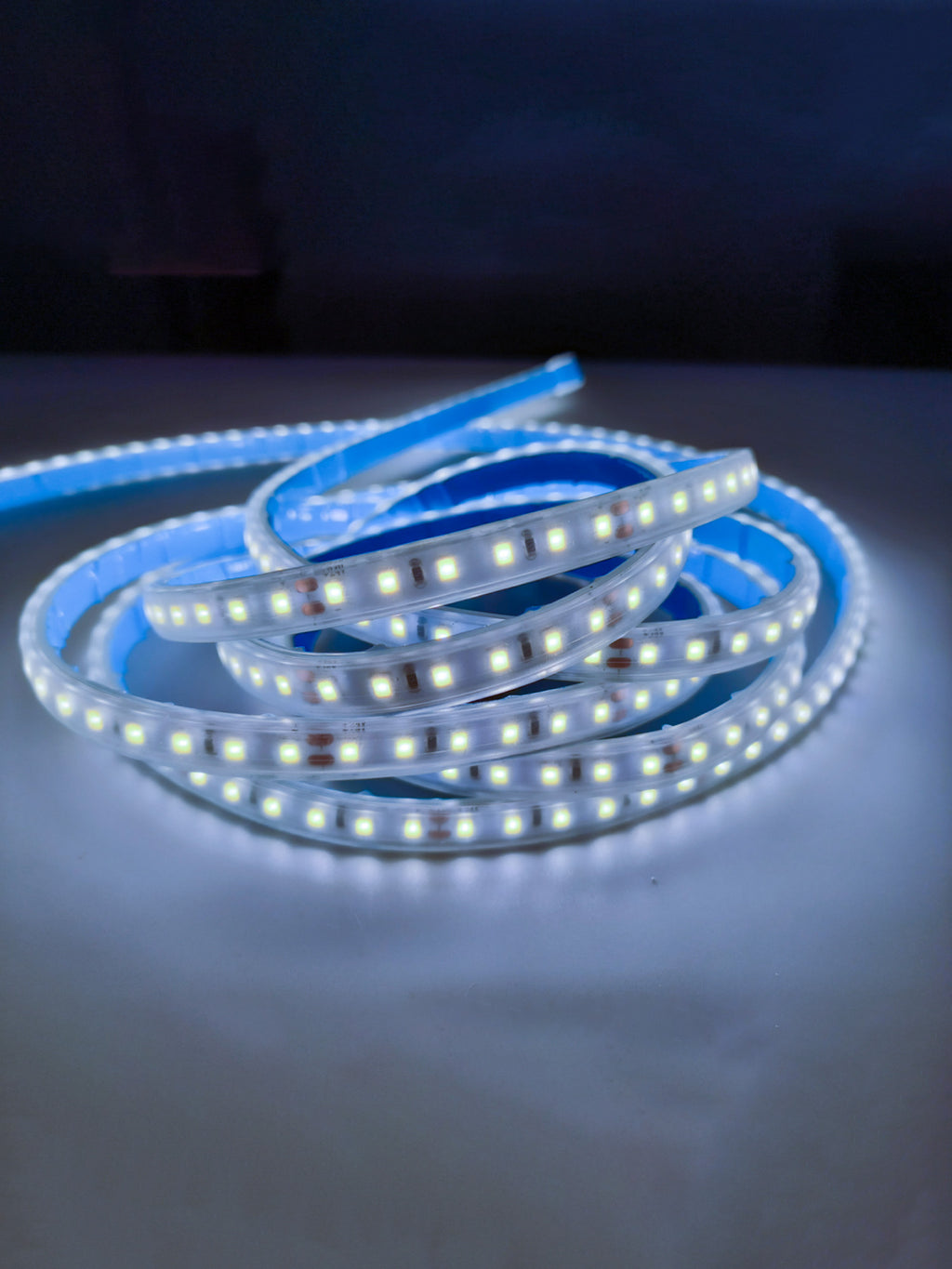 12V Striscia LED 2835 120L IP65 10W/m 1300lm/m 5mt Alta Luminosità Larghezza 8mm