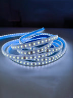 12V Striscia LED 2835 120L IP65 10W/m 1300lm/m 5mt Alta Luminosità Larghezza 8mm
