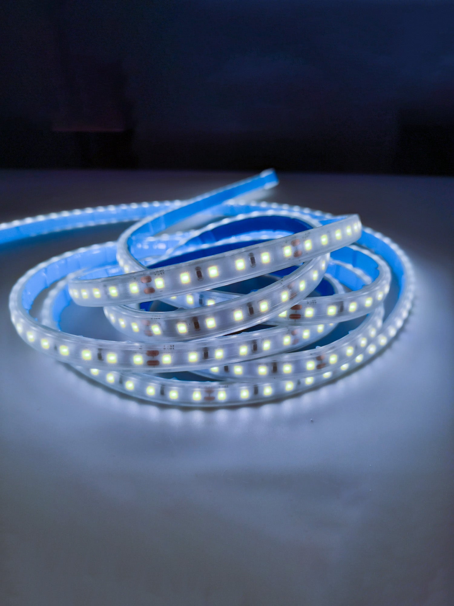 12V Striscia LED 2835 120L IP65 10W/m 1300lm/m 5mt Alta Luminosità Larghezza 8mm