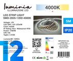 12V Striscia LED 2835 120L 10W/m 1300lm/m  Alta Luminosità 5mt Larghezza 8mm