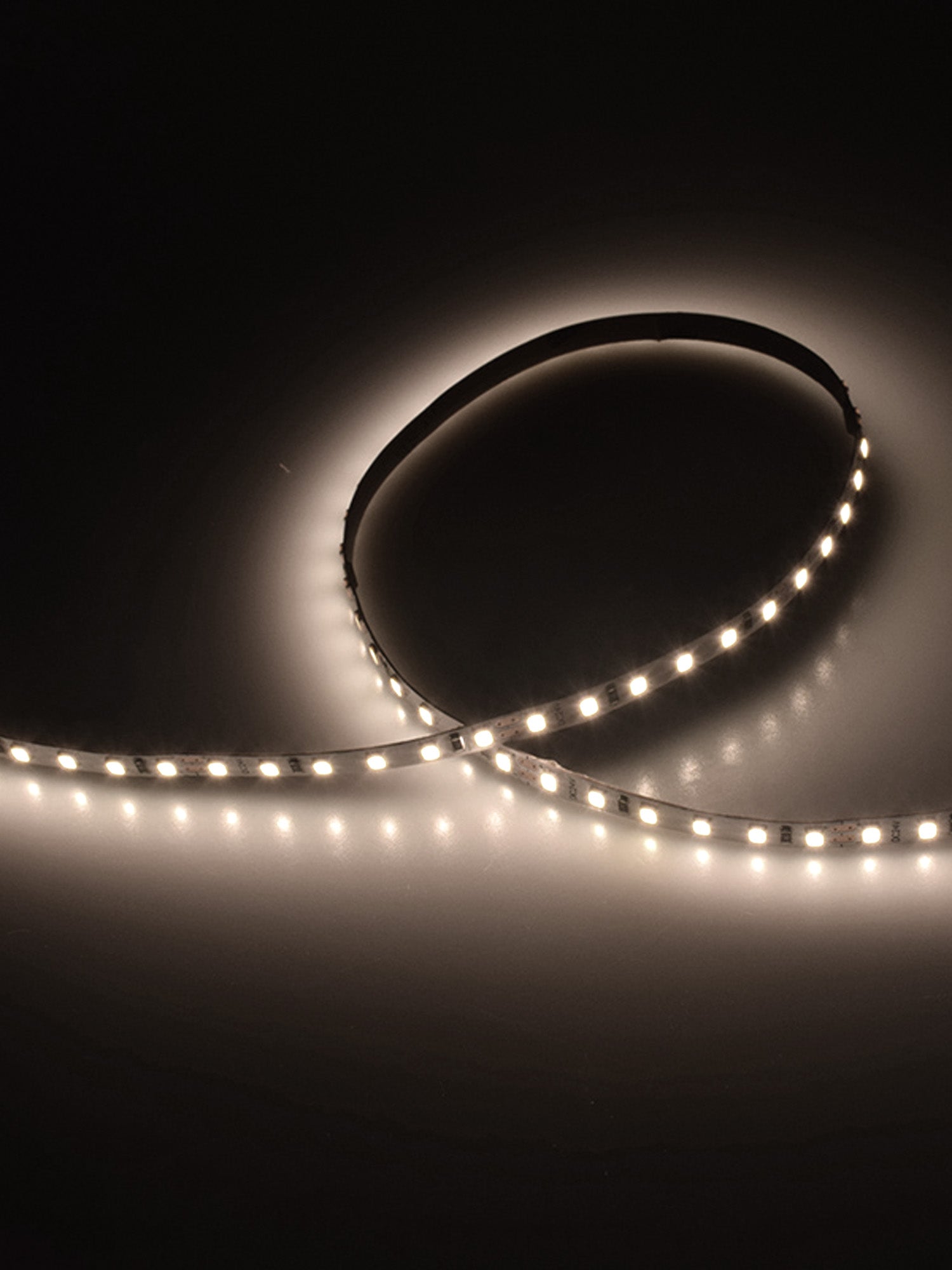 12V Striscia LED 2835 120L 10W/m 800lm/m 5mt Larghezza 8mm