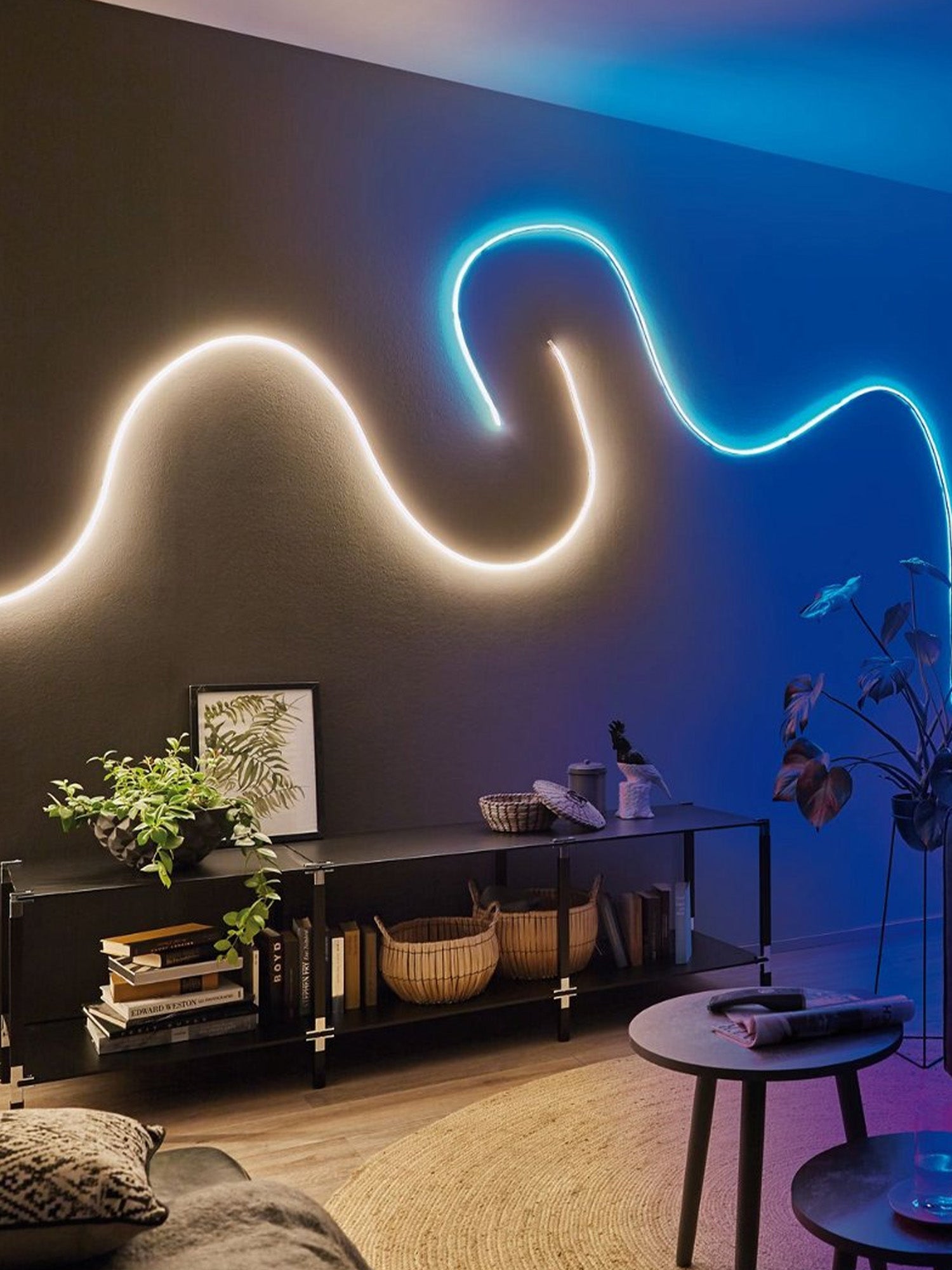 Striscia LED Neon Flessibile DIY DC 24V  5M Immagine secondaria del prodotto