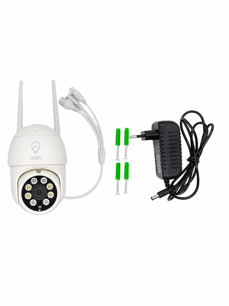 Telecamera di Sorveglianza Intelligente P21