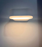 APPLIQUE LED WALL LIGHT 816