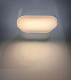 APPLIQUE LED WALL LIGHT 816
