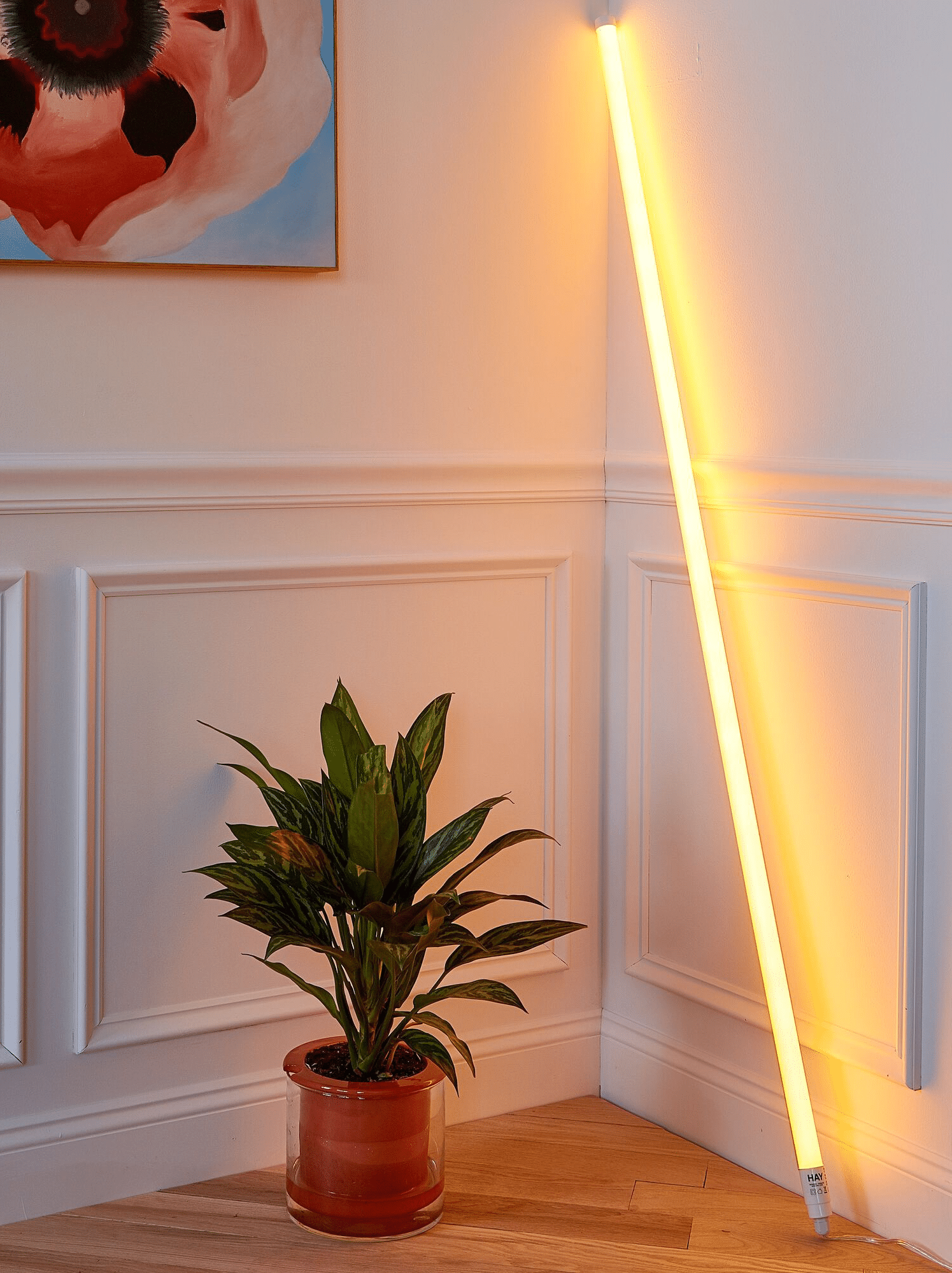 Tubo LED COLORATO Effetto Neon