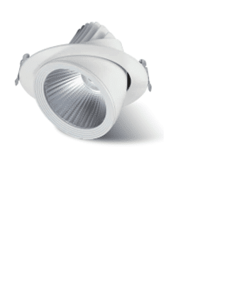 DOWNLIGHT ROTONDO ORIENTABILE 40W Immagine principale del prodotto