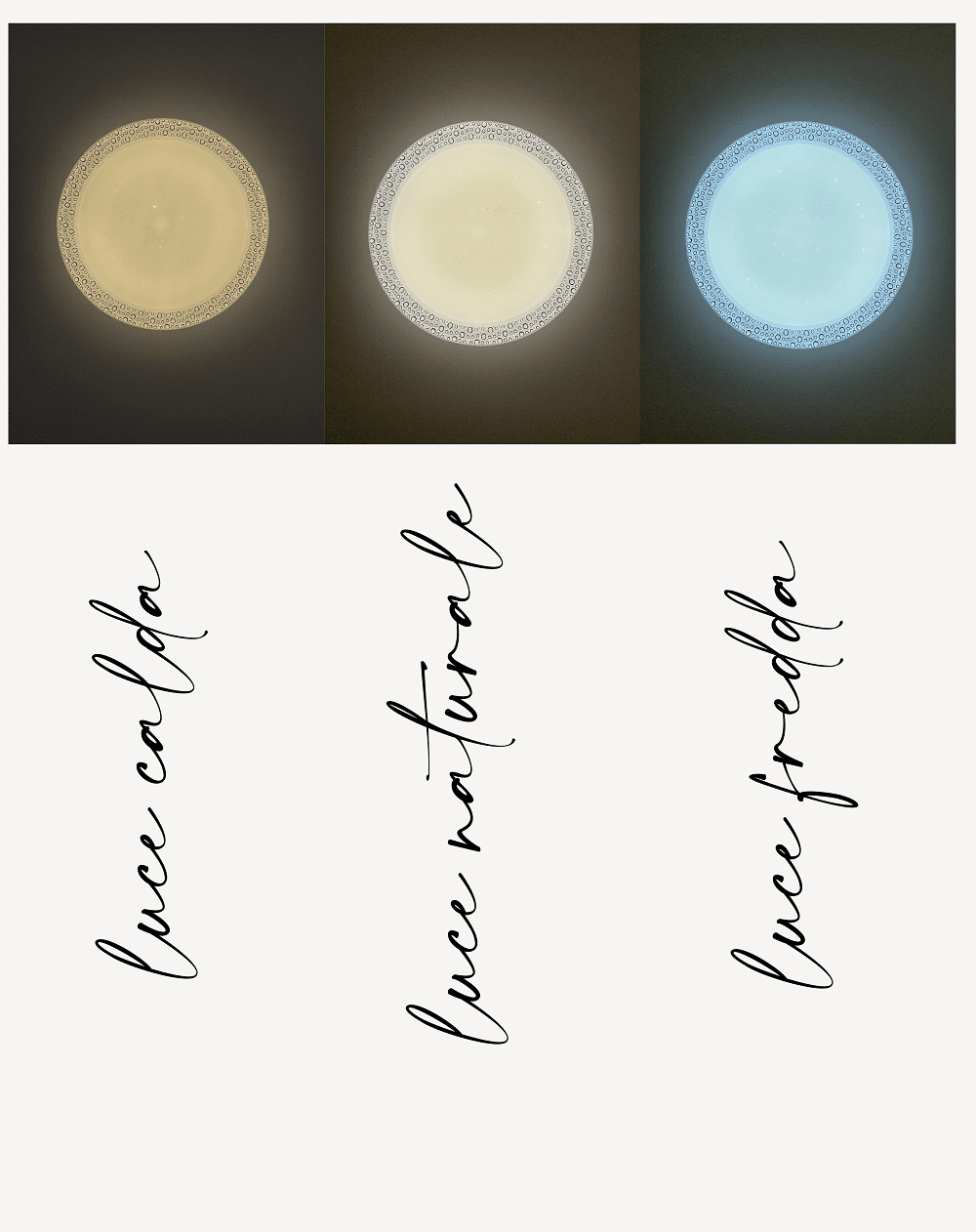 BRAVO S687 Immagine secondaria del prodotto