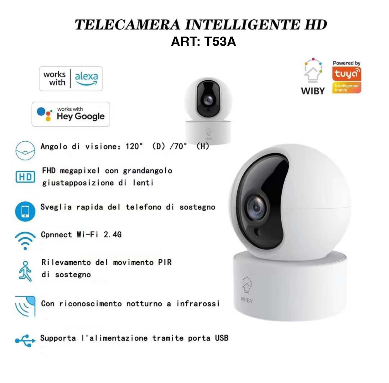 Telecamera WIFI  Wiby T53A