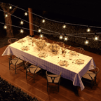 CATENARIA 10MT CON PORTALAMPADE E27