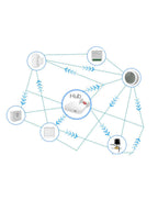 Mini Interruttore Intelligente Wifi a 1 Via FS-02W
